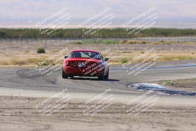 media/Oct-04-2025-OnGrid (Sat) [[44bd565ffa]]/Green Group/Grapevine/